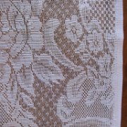 Cuauxicala _huauchinango12